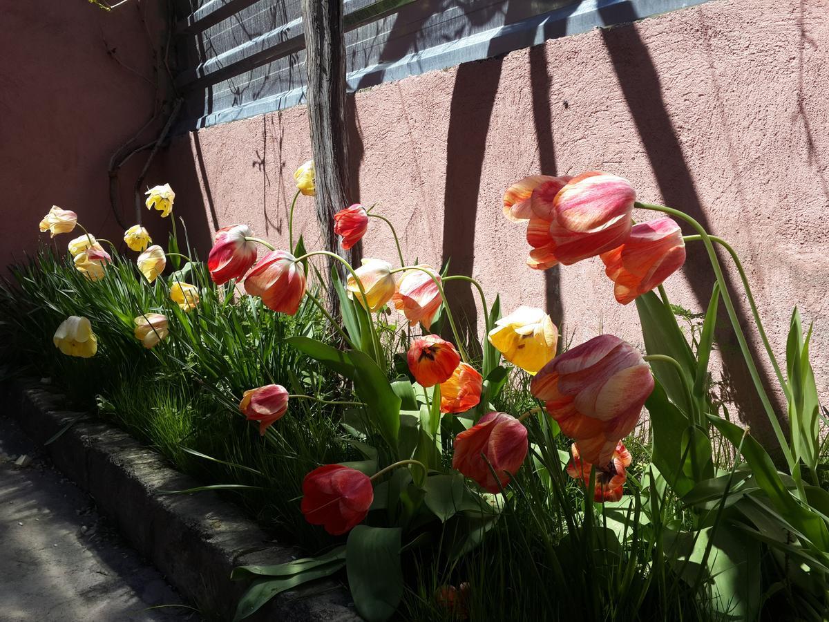 Ashot & Gohar B&B Chʼiva Dış mekan fotoğraf