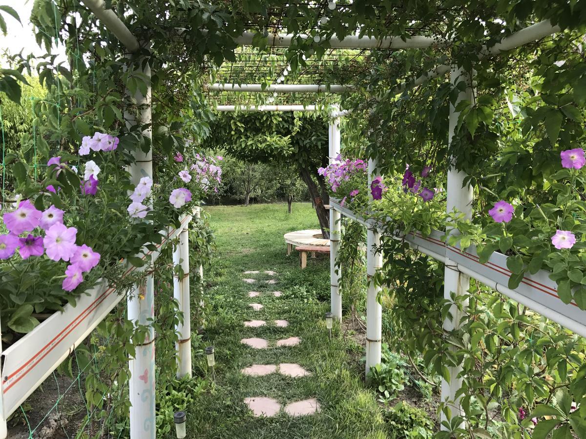 Ashot & Gohar B&B Chʼiva Dış mekan fotoğraf