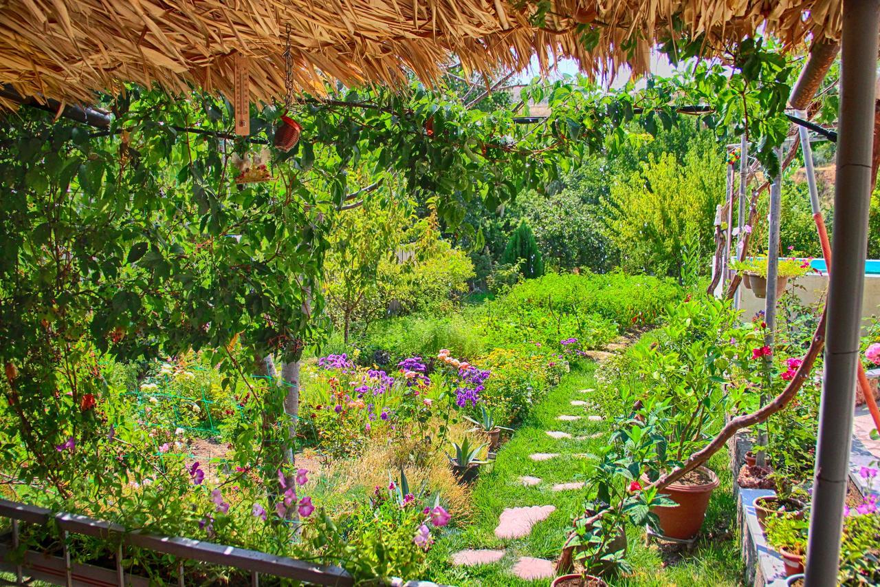 Ashot & Gohar B&B Chʼiva Dış mekan fotoğraf